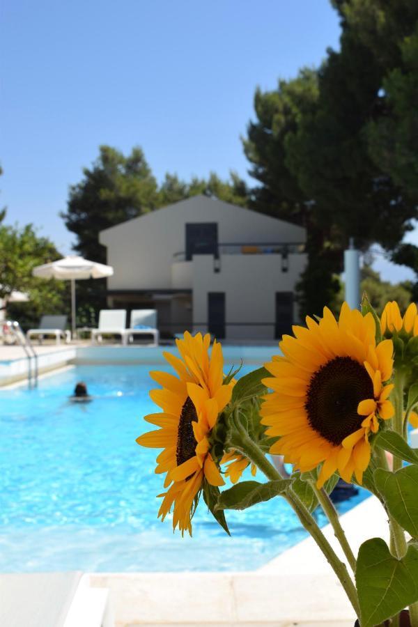 Villa Pefki Chania  Eksteriør billede